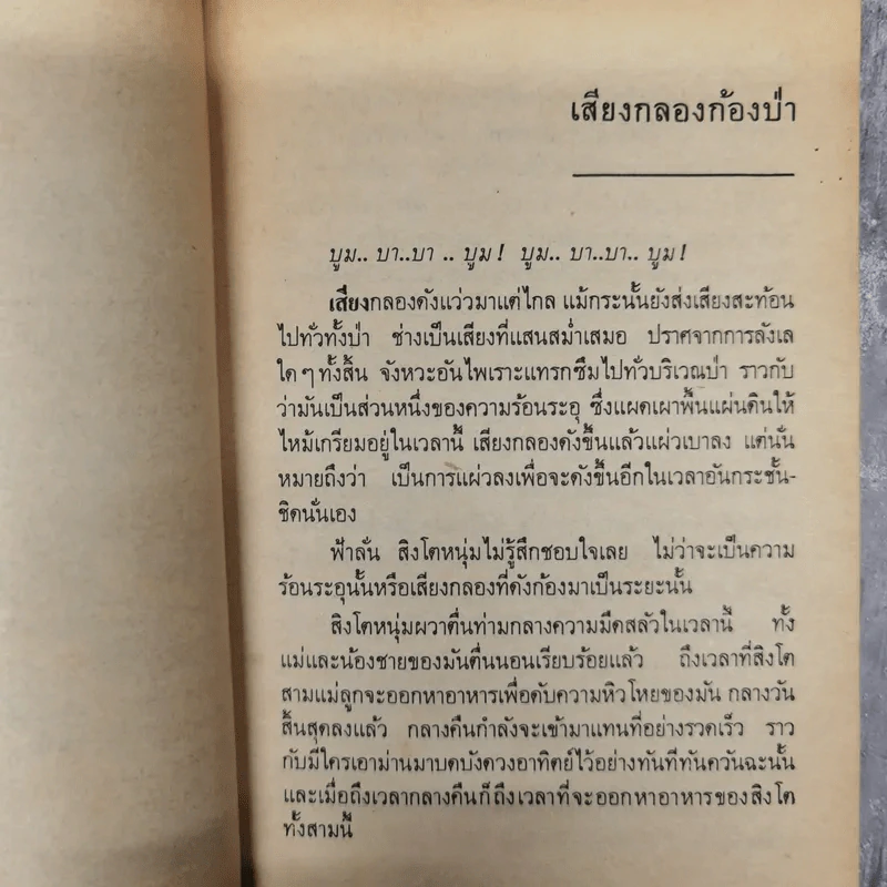 ตามล่า ชีวิตการผจญภัยของสิงห์หนุ่ม รูปที่ 10