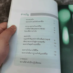 ลมหายใจทองคำ - อาตมัน รูปที่ 6