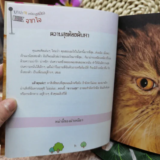 มาม่ากะเหมียวเหมียว - หม่ามี้ของม่าเหมียว รูปที่ 7