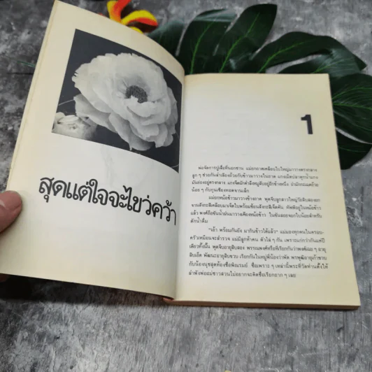 สุดแต่ใจจะไขว่คว้า - โบตั๋น รูปที่ 5