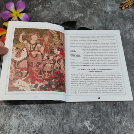 Les Chemins du Buddha รูปที่ 13