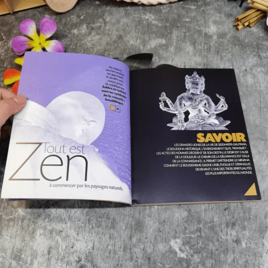 Les Chemins du Buddha รูปที่ 11