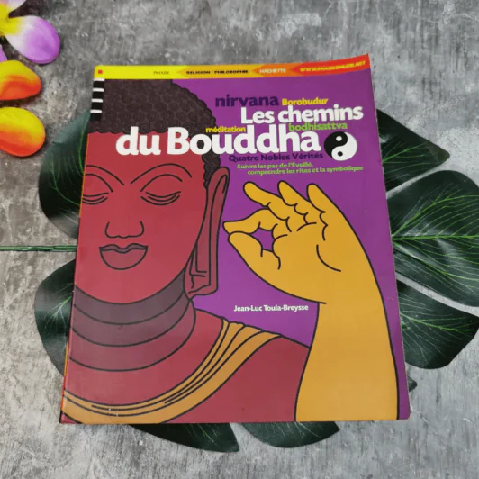 Les Chemins du Buddha รูปที่ 1