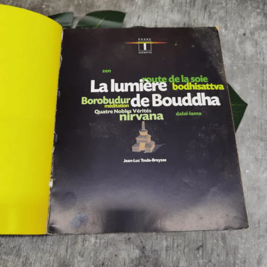 Les Chemins du Buddha รูปที่ 5
