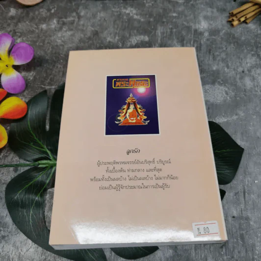 ตามรอยพระพุทธะ รูปที่ 12