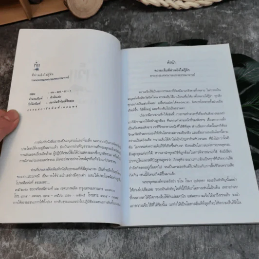 ความเจ็บ รวมพระธรรมเทศนาของพระธรรมาจารย์ รูปที่ 5