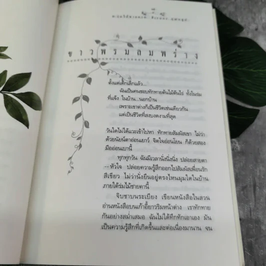 ร่มไม้ชายคา - ศิเรมอร อุณหธูป รูปที่ 9