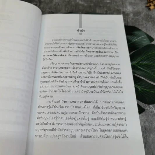 วิทยาศาสตร์แห่งนิพพาน - ปริญญา ตันสกุล รูปที่ 6