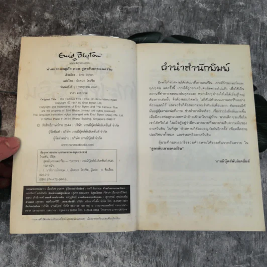 ห้าสหายผจญภัย 6 ตอน สูตรลับเกาะเคอร์ริน รูปที่ 5