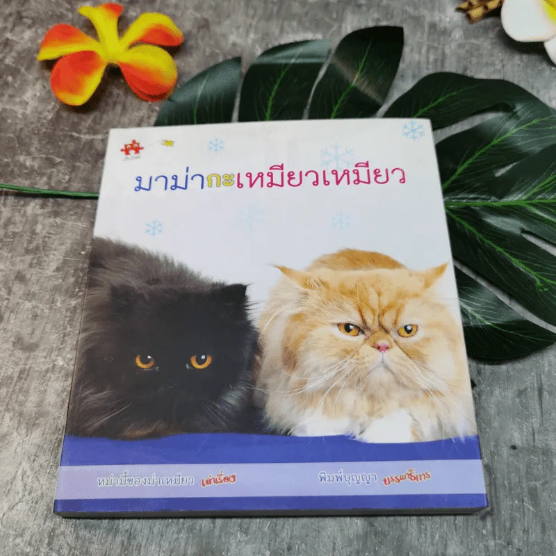 มาม่ากะเหมียวเหมียว - หม่ามี้ของม่าเหมียว รูปที่ 10