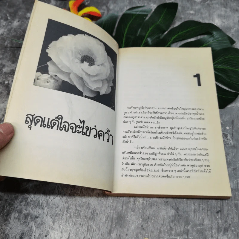 สุดแต่ใจจะไขว่คว้า - โบตั๋น รูปที่ 5