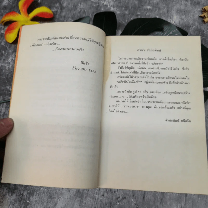 กลิ่นรักในเมืองดิบ - อีแร้ง รูปที่ 8