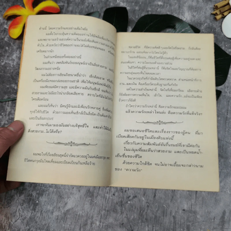 กลิ่นรักในเมืองดิบ - อีแร้ง รูปที่ 7