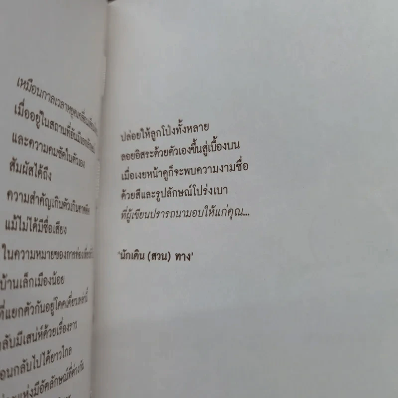 เมืองเล็กที่เปลี่ยนโลก เรื่องของนักเดิน(สวน)ทาง รูปที่ 9