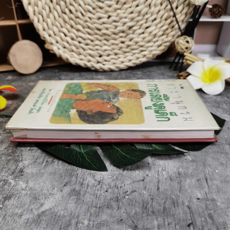 สารานุกรมการเลี้ยงดูเด็ก เล่ม 2 - นายแพทย์มิชิโอะ มัตสุดะ รูปที่ 3