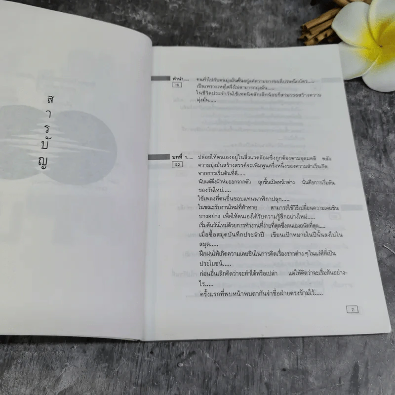 ท่าดีทีเลิศ - ป.แผนสำเร็จ แปล รูปที่ 5