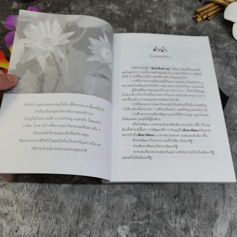 วิธีแก้เซ็งสร้างสุข - ประเวศ วะสี รูปที่ 6