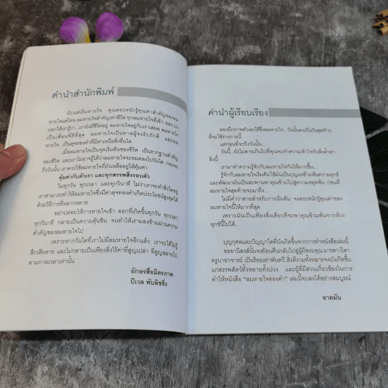 ลมหายใจทองคำ - อาตมัน รูปที่ 5