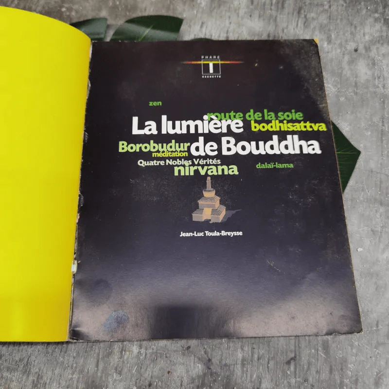 Les Chemins du Buddha รูปที่ 5