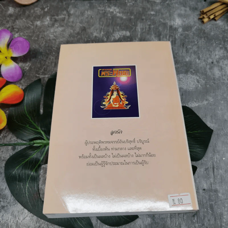 ตามรอยพระพุทธะ รูปที่ 12