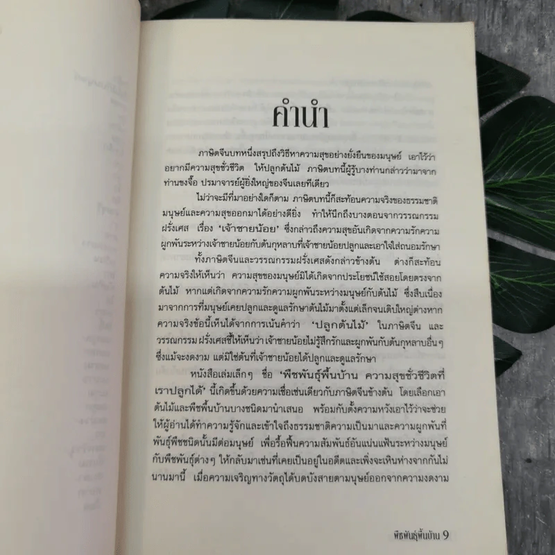 พืชพันธุ์พื้นบ้าน ความสุขชั่วชีวิตที่เราปลูกได้ - เดชา ศิริภัทร รูปที่ 8