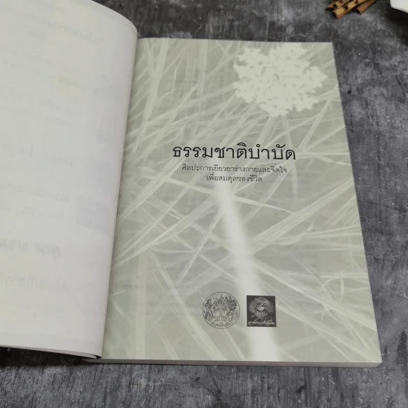 ธรรมชาติบำบัด ศิลปะการเยียวยาร่างกายและจิตใจเพื่อสมดุลของชีวิต - หมอเจค็อบ วาทักกันเชรี รูปที่ 5