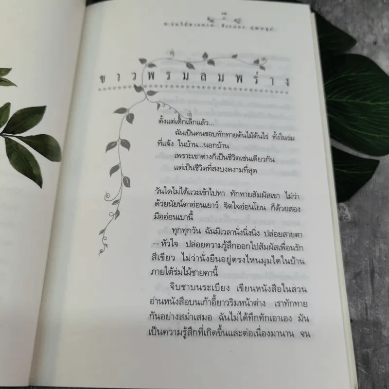 ร่มไม้ชายคา - ศิเรมอร อุณหธูป รูปที่ 9