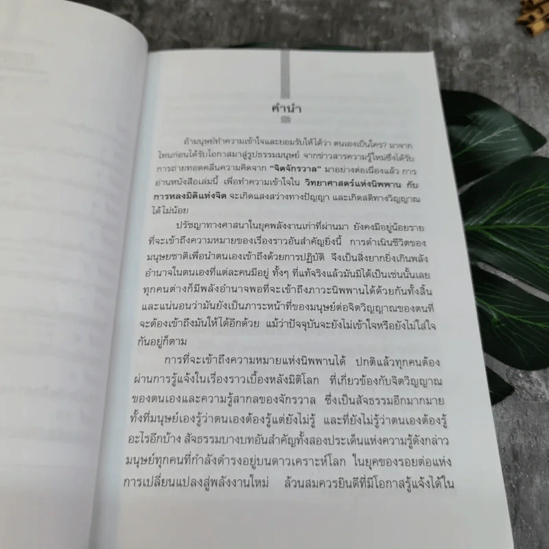 วิทยาศาสตร์แห่งนิพพาน - ปริญญา ตันสกุล รูปที่ 6
