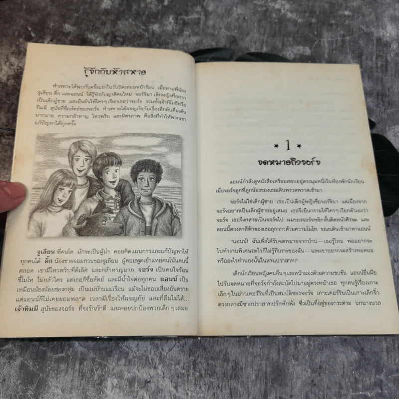 ห้าสหายผจญภัย 6 ตอน สูตรลับเกาะเคอร์ริน รูปที่ 6