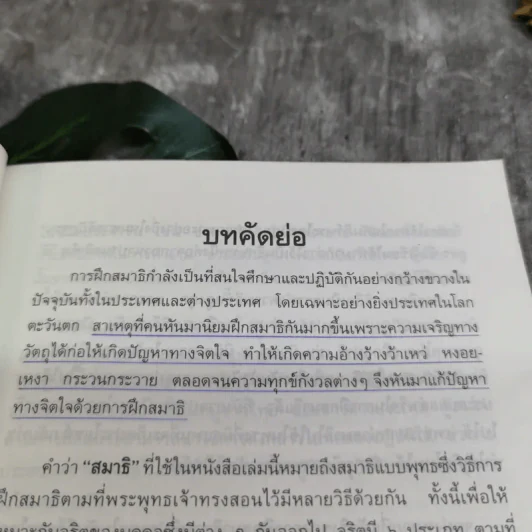 การฝึกสมาธิ - รองศาสตราจารย์ ดร.สุจิตรา รณรื่น รูปที่ 10