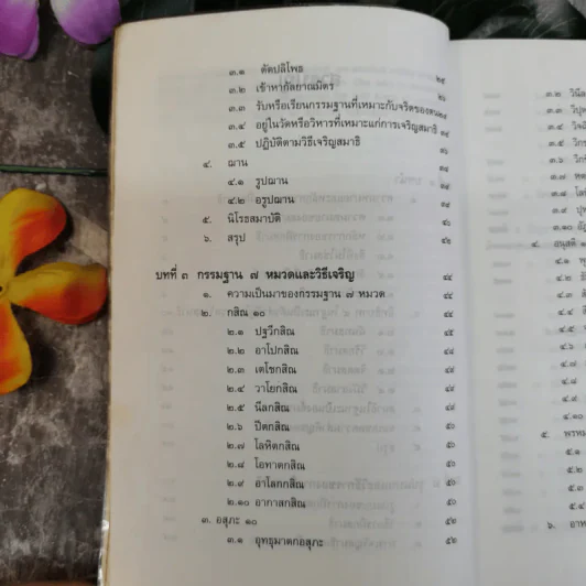 การฝึกสมาธิ - รองศาสตราจารย์ ดร.สุจิตรา รณรื่น รูปที่ 12