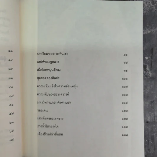 เมื่อโลกหมุนช้าลง - พระไพศาล วิสาโล รูปที่ 9