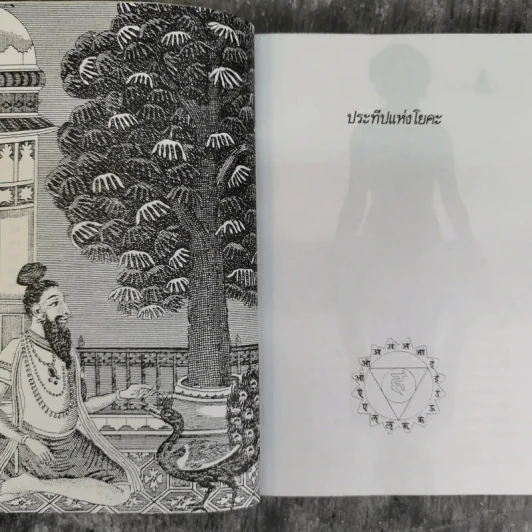 ประทีปแห่งโยคะ คู่มือการปฏิบัติด้วยตนเอง - เอกไชย พรรณเชษฐ์ แปล รูปที่ 11