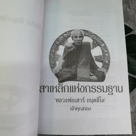 เสาเหล็กแห่งกรรมฐาน หลวงพ่อเสาร์ กนตสีโล - เจ้าคุณทอง รูปที่ 5