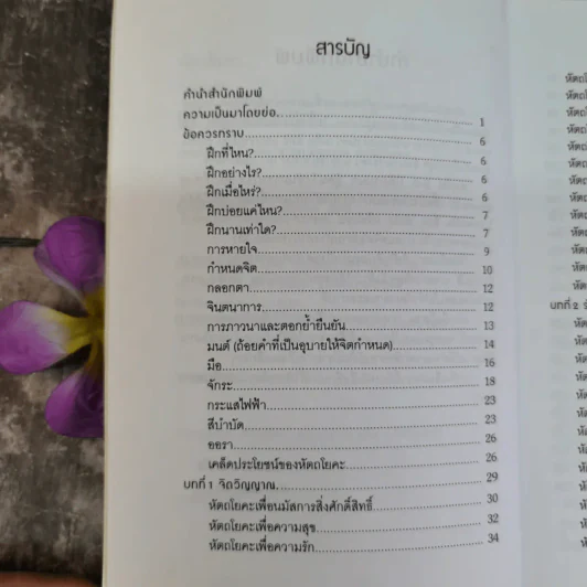 หัตถโยคะ ศาสตร์แห่งสมาธิ และวิถีบำบัดกาย-ใจ - ปราชญ์ รูปที่ 6