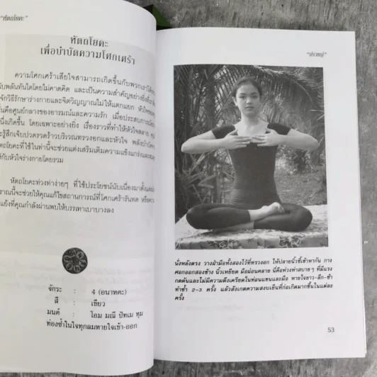 หัตถโยคะ ศาสตร์แห่งสมาธิ และวิถีบำบัดกาย-ใจ - ปราชญ์ รูปที่ 11