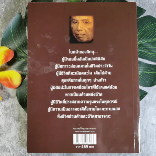 เพื่อนงาม I ติช นัท ฮันห์ - ทวีศักดิ์ อุชุคตานนท์ (ผู้แต่งเพลงดั่งดอกไม้บาน) รูปที่ 12