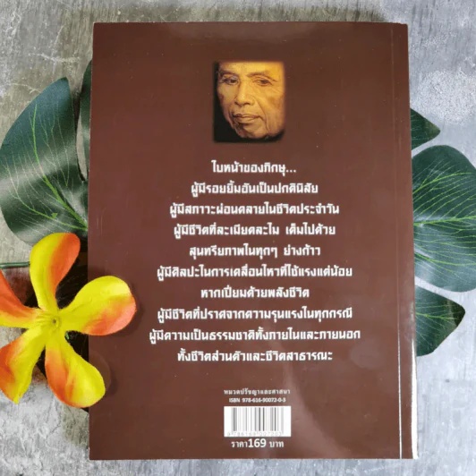 เพื่อนงาม I ติช นัท ฮันห์ - ทวีศักดิ์ อุชุคตานนท์ (ผู้แต่งเพลงดั่งดอกไม้บาน) รูปที่ 2