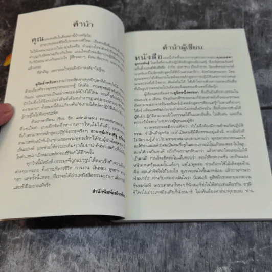 ดูจิตชั่วพริบตา - ปัญญาวโรภิกขุ (ประเสริฐ อุทัยเฉลิม) รูปที่ 7