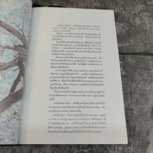 สนุกกับไม้ใหญ่ - ธราดล ทันด่วน รูปที่ 9