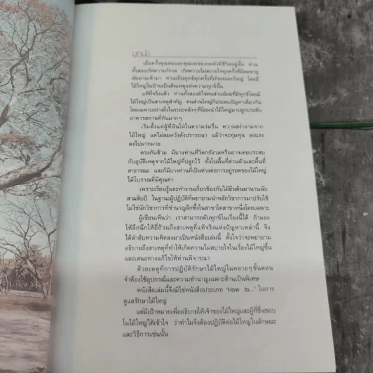 สนุกกับไม้ใหญ่ - ธราดล ทันด่วน รูปที่ 8