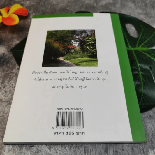 สนุกกับไม้ใหญ่ - ธราดล ทันด่วน รูปที่ 11