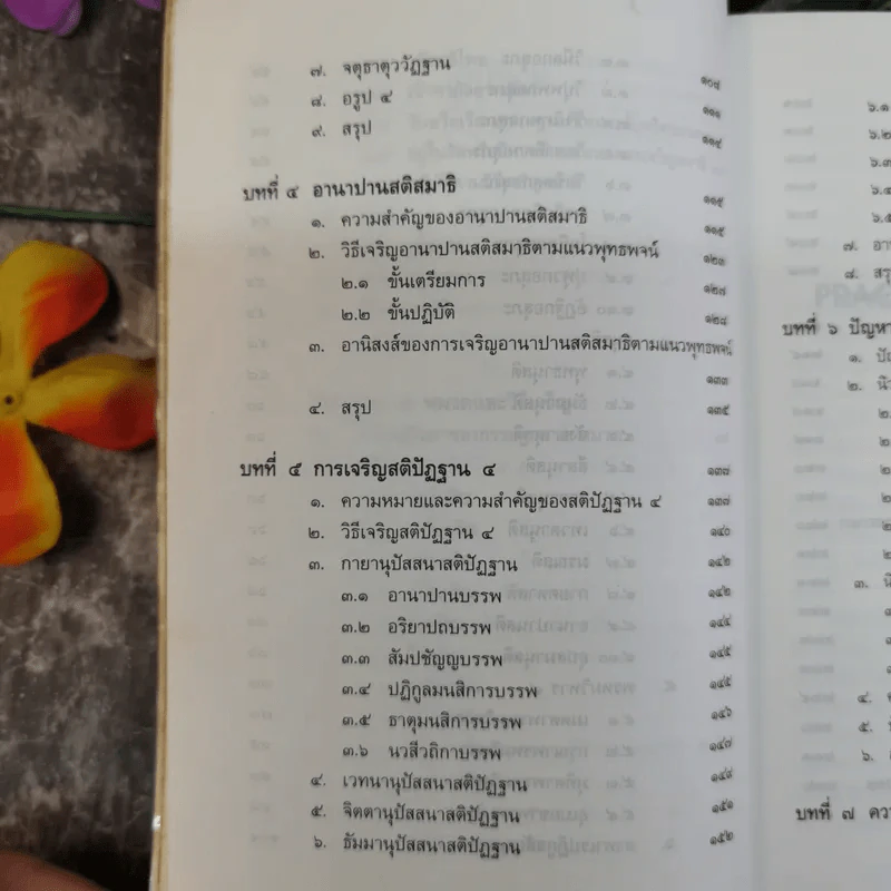 การฝึกสมาธิ - รองศาสตราจารย์ ดร.สุจิตรา รณรื่น รูปที่ 14