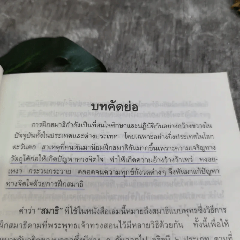 การฝึกสมาธิ - รองศาสตราจารย์ ดร.สุจิตรา รณรื่น รูปที่ 10