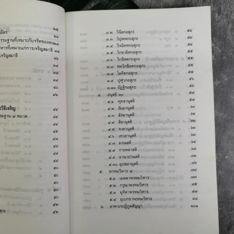 การฝึกสมาธิ - รองศาสตราจารย์ ดร.สุจิตรา รณรื่น รูปที่ 13