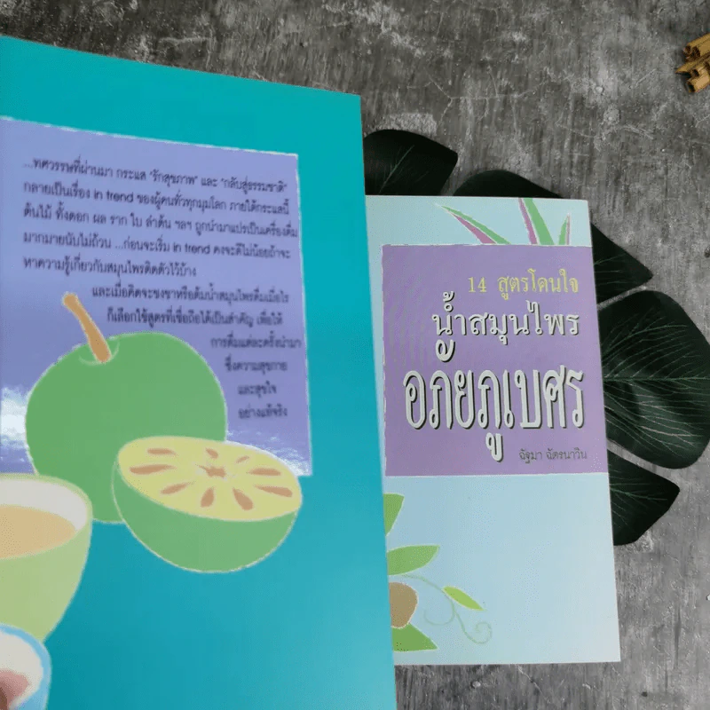 14 สูตรโดนใจ น้ำสมุนไพรอภัยภูเบศร - ฉัฐมา ฉัตรนาวิน รูปที่ 5
