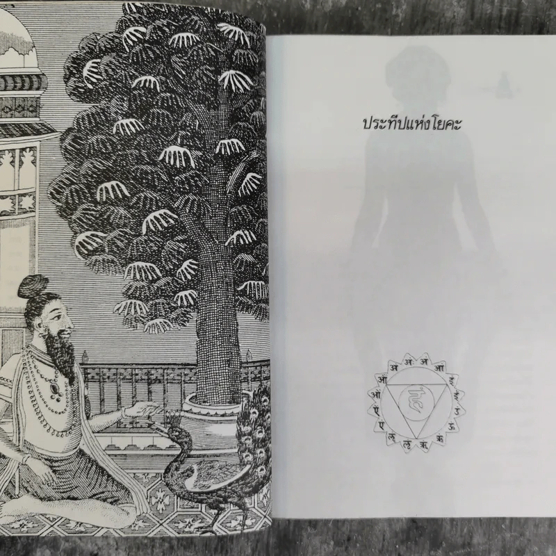 ประทีปแห่งโยคะ คู่มือการปฏิบัติด้วยตนเอง - เอกไชย พรรณเชษฐ์ แปล รูปที่ 11