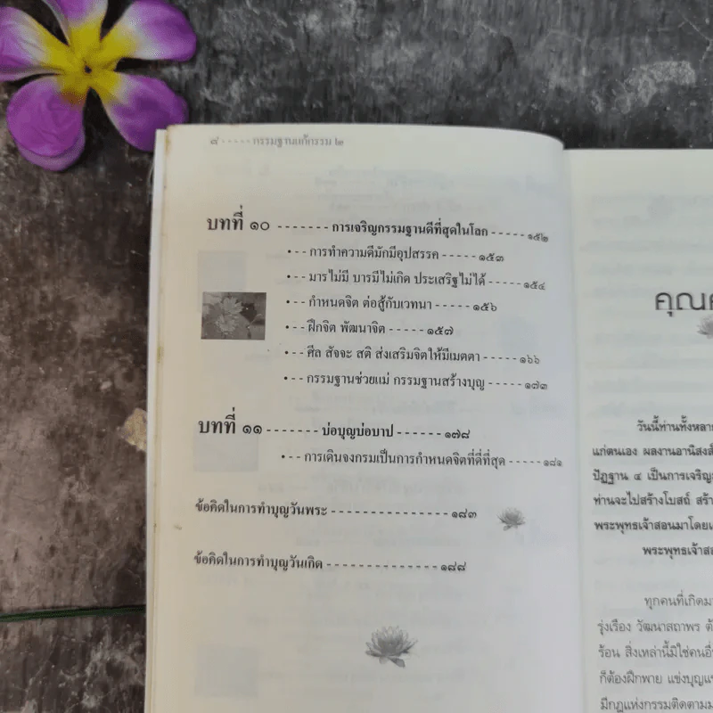 กรรมฐานแก้กรรม 2 ภาค บ่อบุญบ่อบาป - หลวงพ่อจรัญ ฐิตธมโม รูปที่ 11