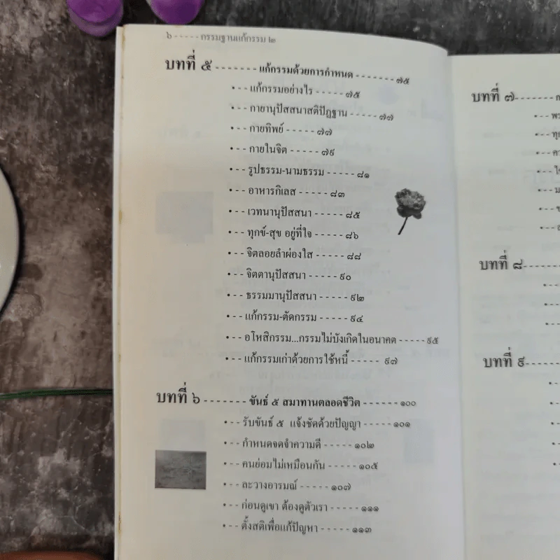 กรรมฐานแก้กรรม 2 ภาค บ่อบุญบ่อบาป - หลวงพ่อจรัญ ฐิตธมโม รูปที่ 9