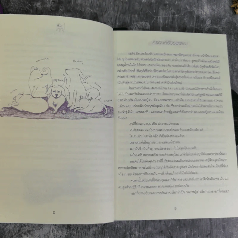ป๊อปคอร์น หมากู้ชาติ (เรื่องของคน ในทรรศนะของหมา) - ลุงปุ๋ย รูปที่ 8